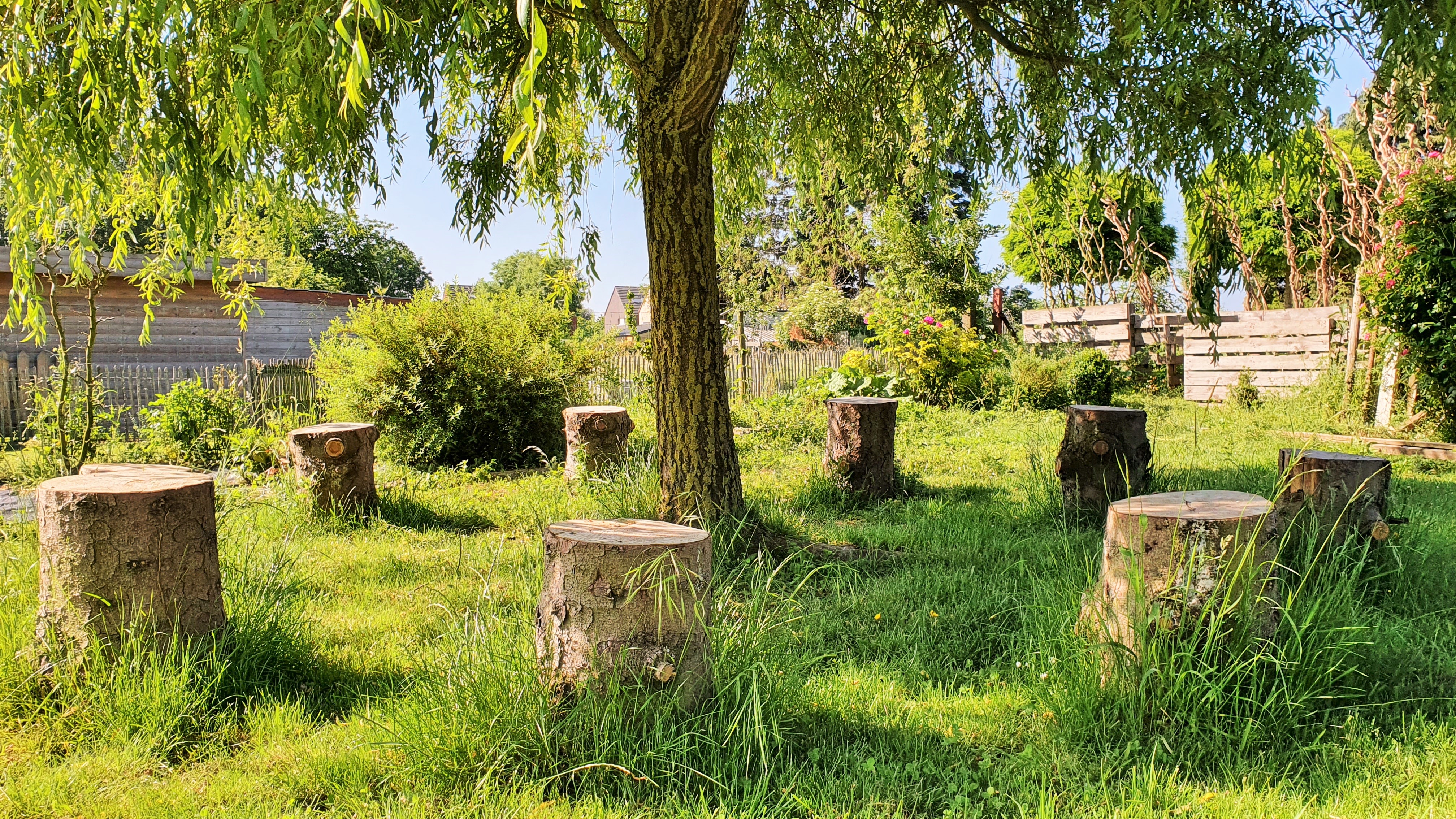 sous le saule